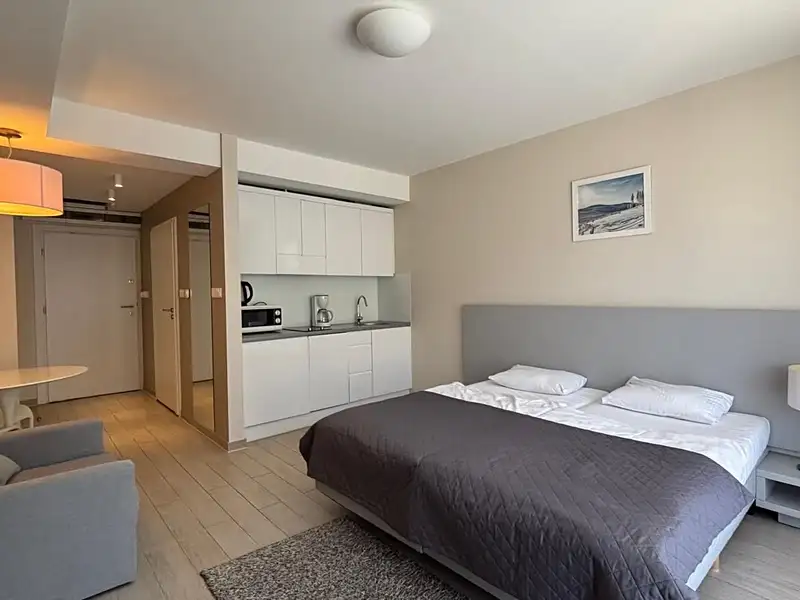 Prodej bytu 1+kk 27 m², Dolní Morava – náhled fotky 2