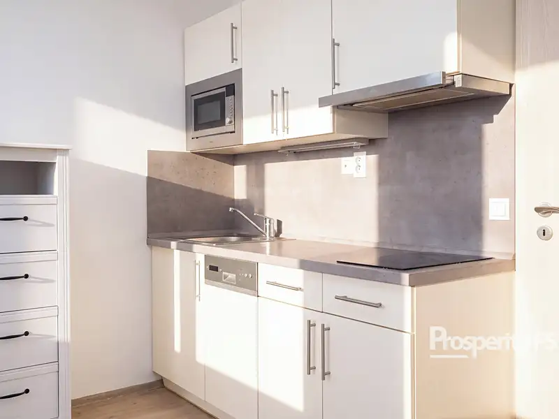 Prodej bytu 1+kk 33 m², Praha – náhled fotky 2