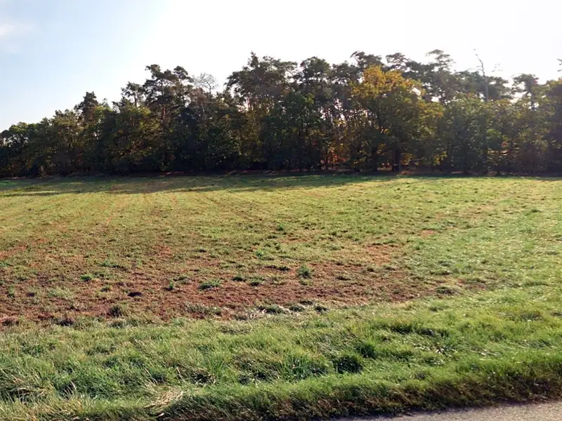 Prodej pole 1388 m², Němčice – náhled fotky 2
