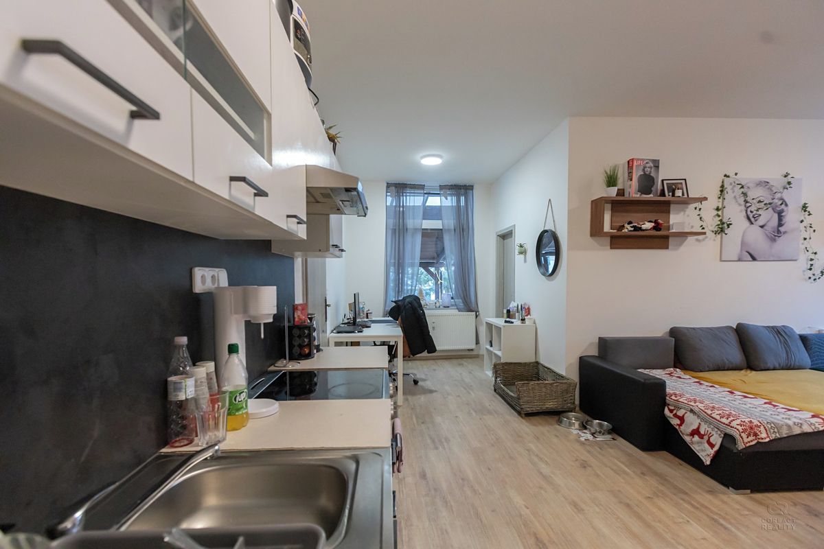 Pronájem bytu 2+kk 55 m² – fotografie 4