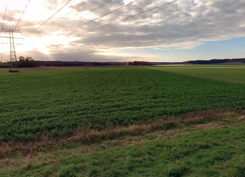 Prodej pole 6828 m², Týnec nad Labem – náhled fotky 2