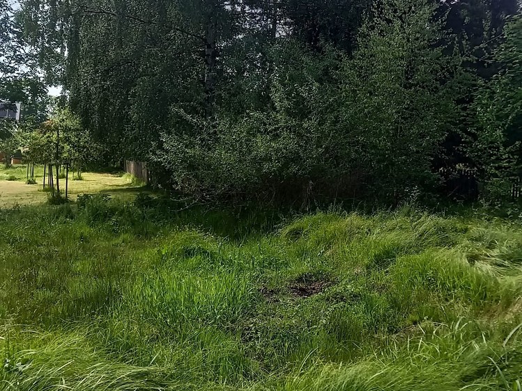 Prodej pozemku, 1 800 m² (2 z 8)