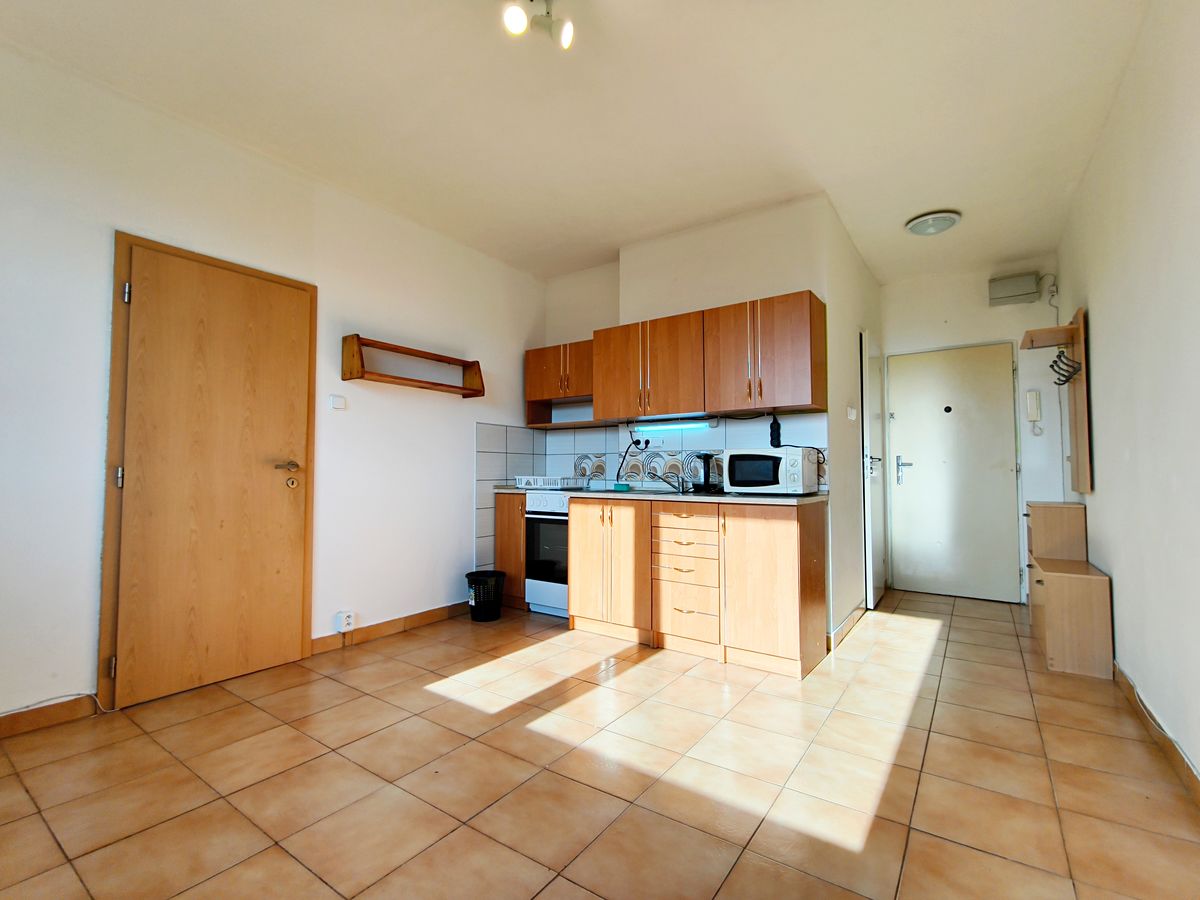 Pronájem bytu 1+1 40 m²