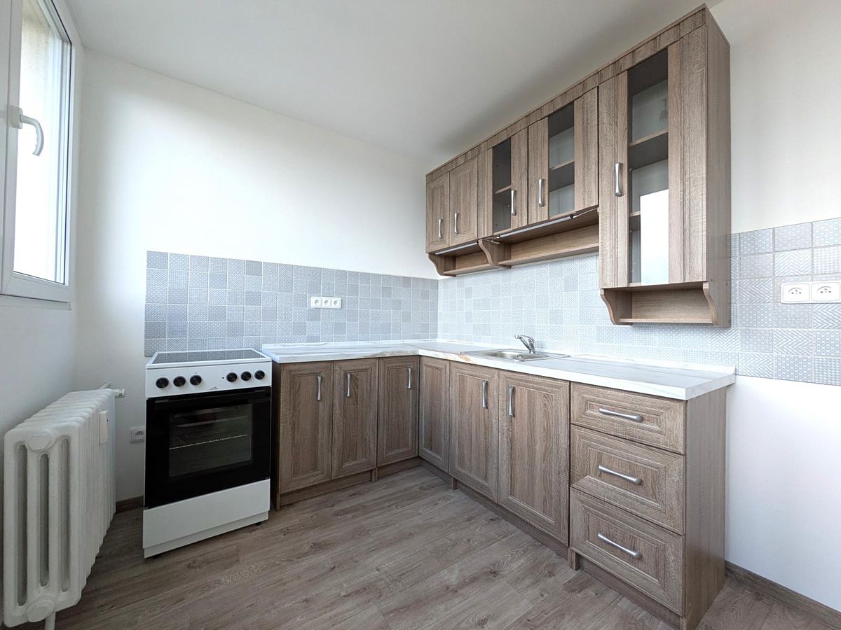 Pronájem bytu pokoje 19 m²