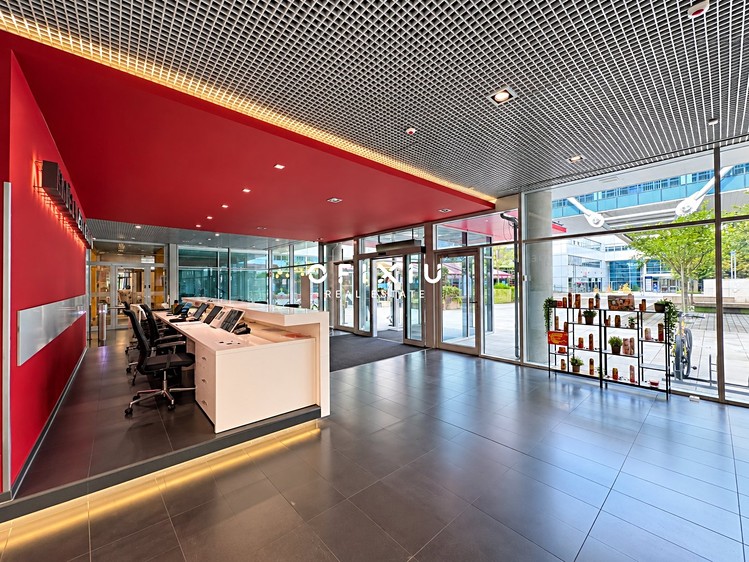 Pronájem komerčního prostoru, 168 m² (8 z 8)