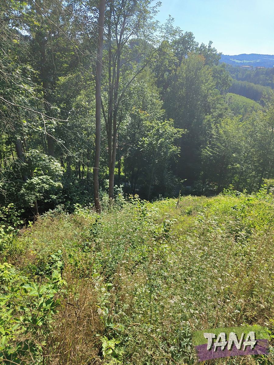 Prodej lesa 4922 m² – fotografie 2