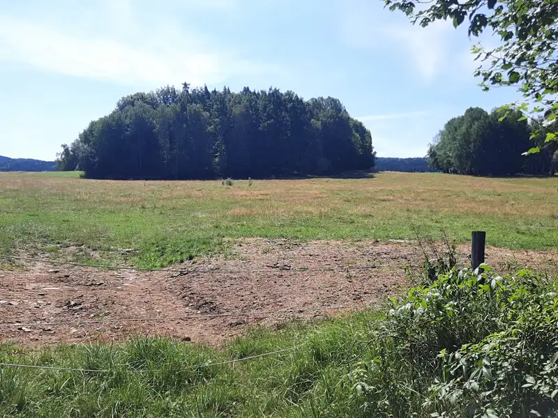 Prodej lesa 9975 m², Benešov nad Černou – náhled fotky 2