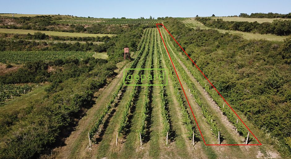 Prodej sadu, vinice 2166 m², Starovice – fotka 1 z 3