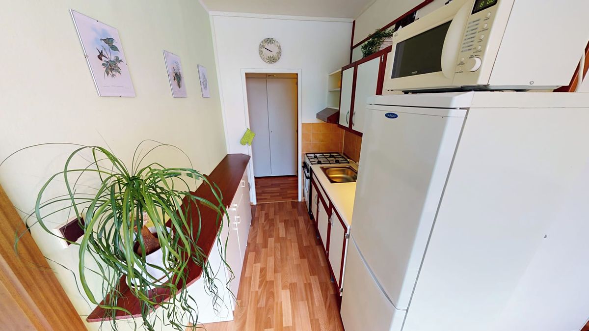 Pronájem bytu 1+1 42 m²