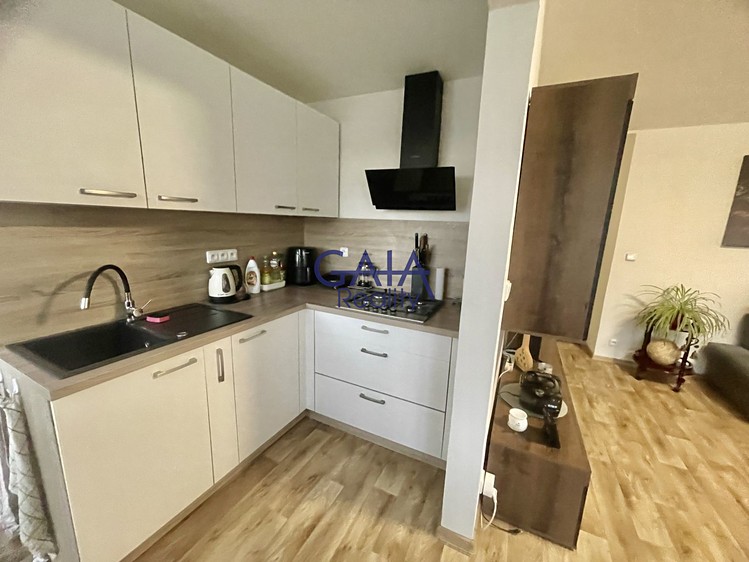 Prodej bytu 3+1, 64 m² (10 z 28)