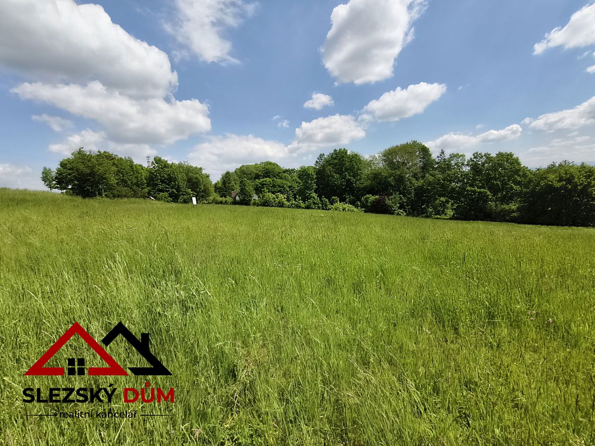 Prodej stavebního pozemku 2369 m² – fotografie 3