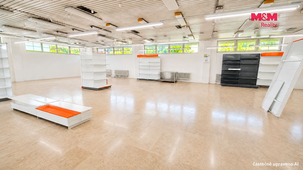 Pronájem obchodního prostoru 260 m² – fotografie 4