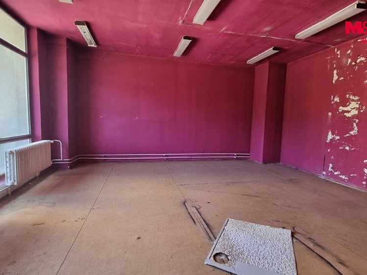 Комерційне приміщення в оренду, 270 м² (6 з 8)