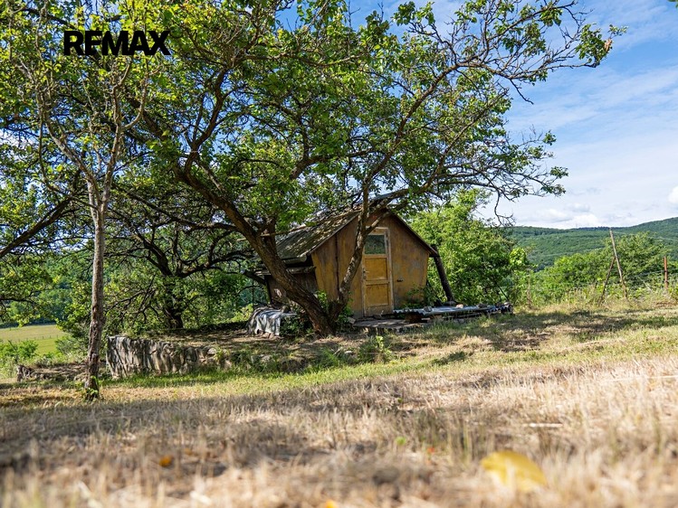 Ostatní