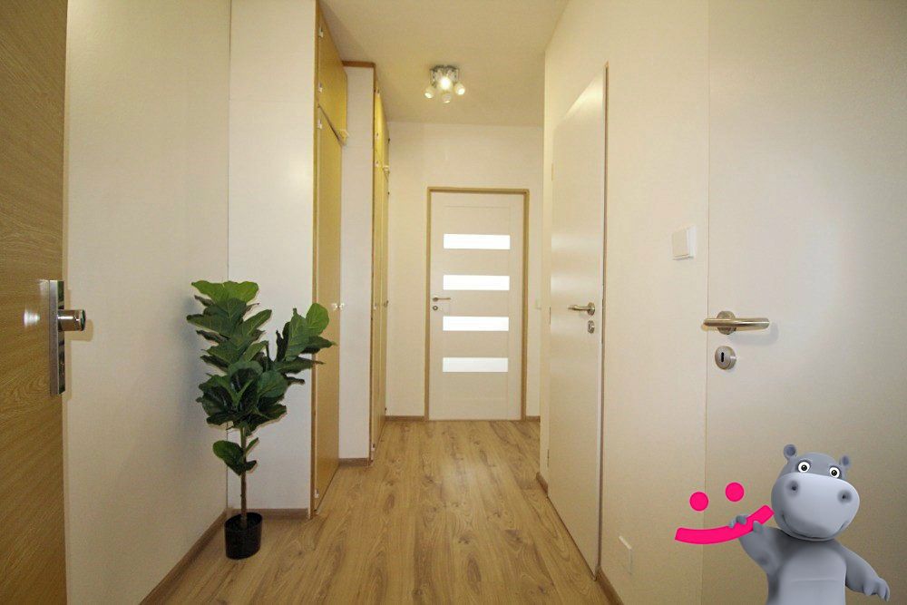 Pronájem bytu 2+kk 43 m² – fotografie 4