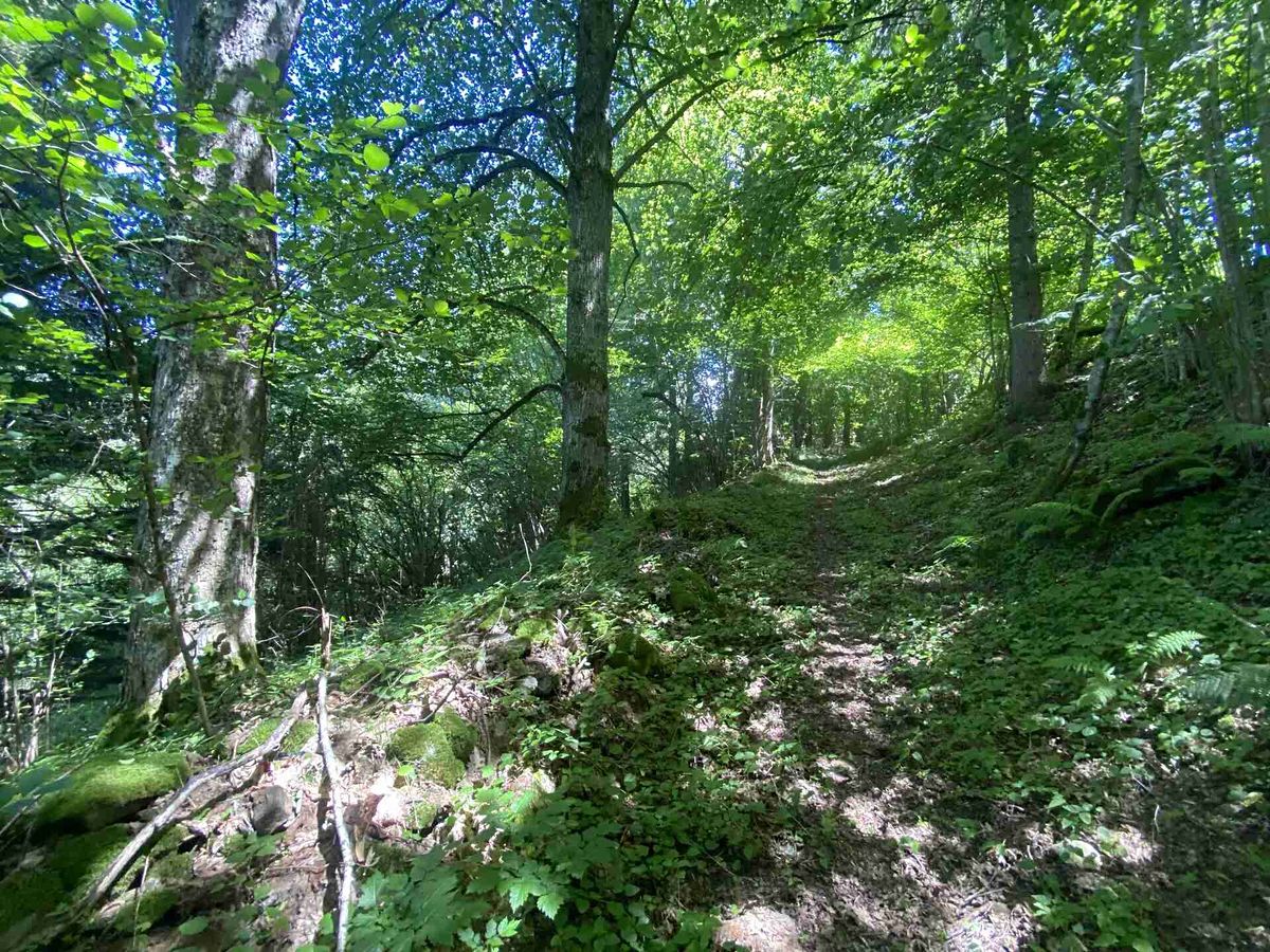 Prodej pozemku 3924 m² – fotografie 3