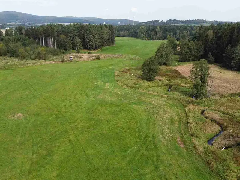 Prodej pole 52176 m², Rozvadov – náhled fotky 3