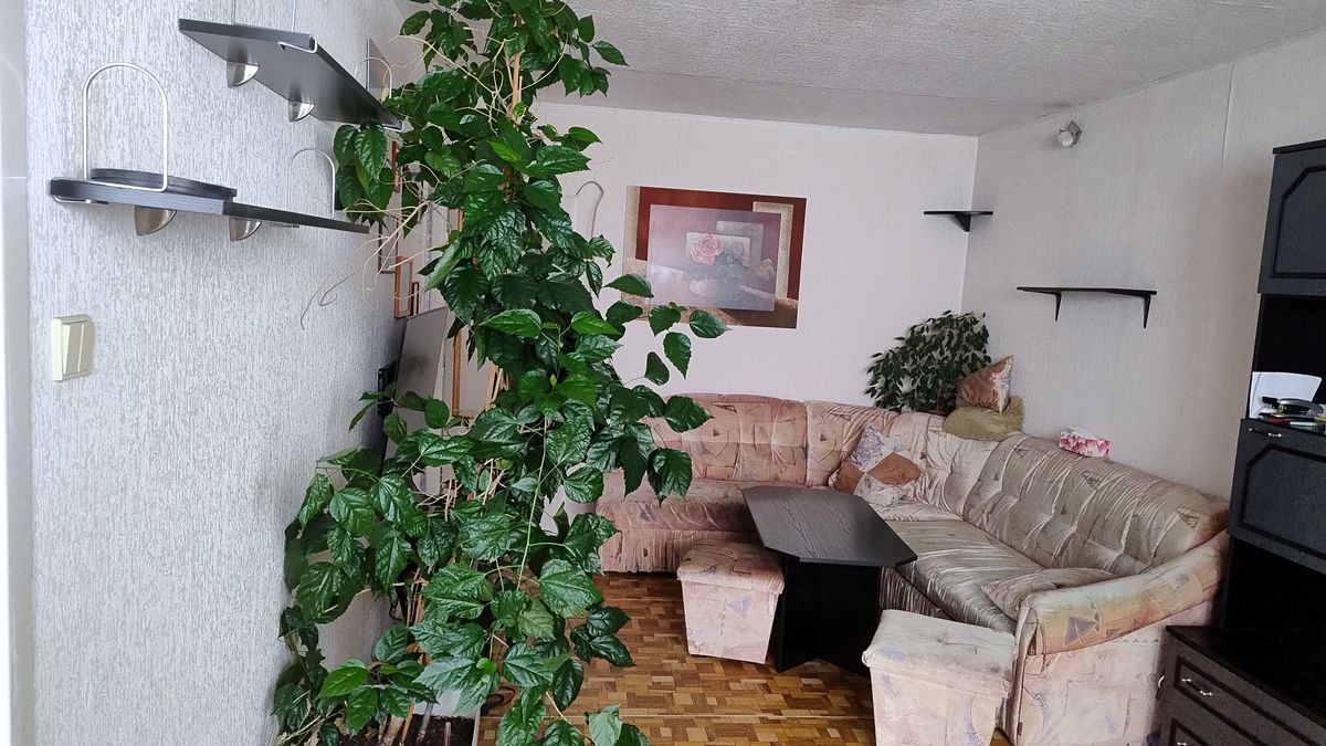 Pronájem bytu 3+1 68 m²