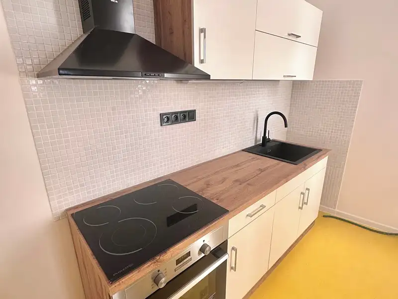 Pronájem bytu 3+1 74 m², Plzeň – náhled fotky 1