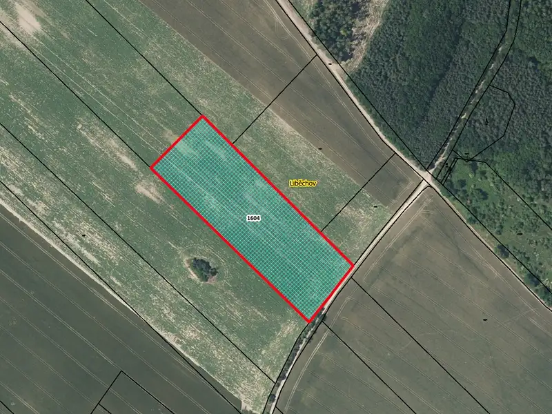 Prodej pole 18625 m², Liběchov – náhled fotky 1