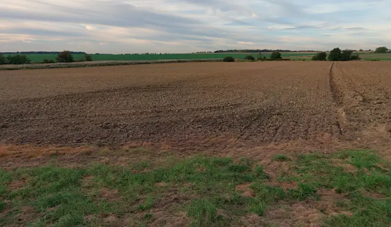 Prodej pole 43901 m², Vlkaneč – náhled fotky 2