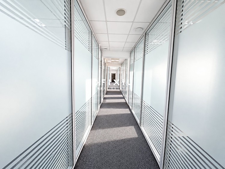 Pronájem komerčního prostoru, 2 208 m² (15 z 17)
