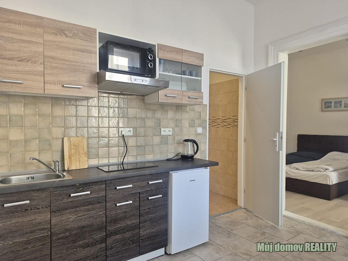 Pronájem bytu 2+kk 45 m² – fotografie 4