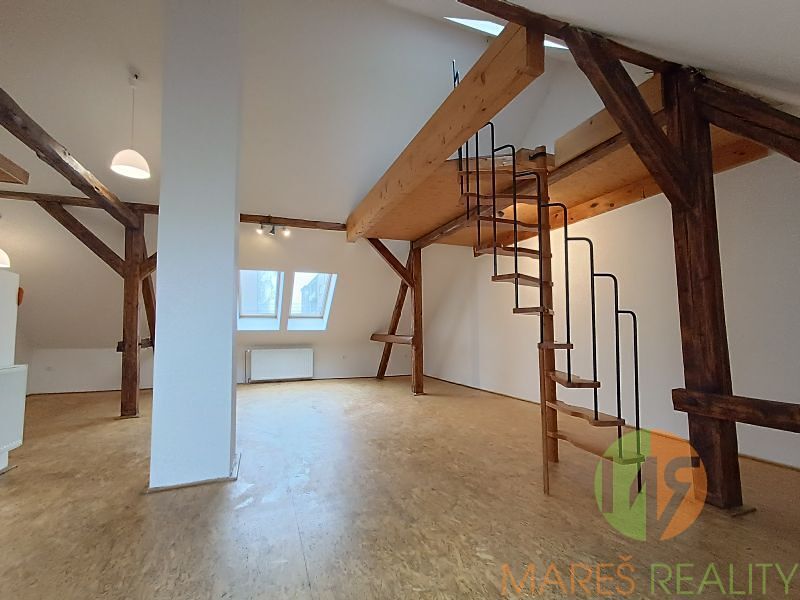Pronájem bytu 1+kk 60 m² – fotografie 5