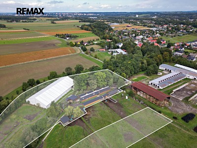 Prodej komerčního prostoru, 2 400 m² (3 z 29)