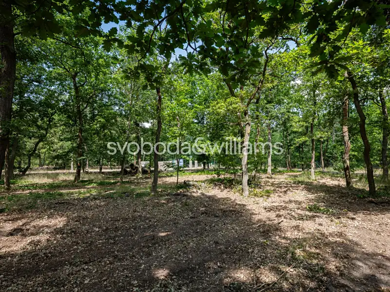 Prodej stavebního pozemku 2820 m², Hradištko – náhled fotky 2