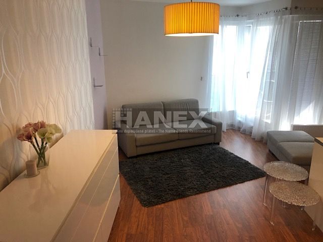 Pronájem bytu 1+kk 38 m² – fotografie 3