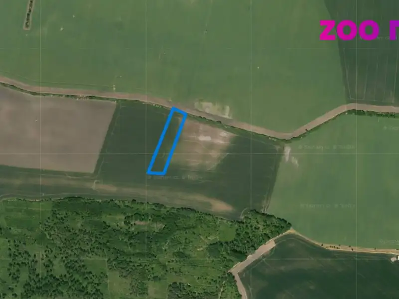 Prodej pole 10553 m², Budiměřice – náhled fotky 1