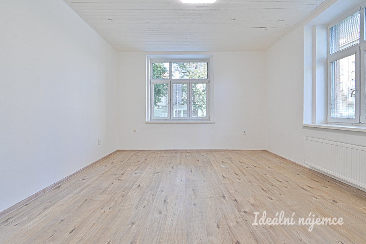 Pronájem bytu 1+1 43 m² – fotografie 4