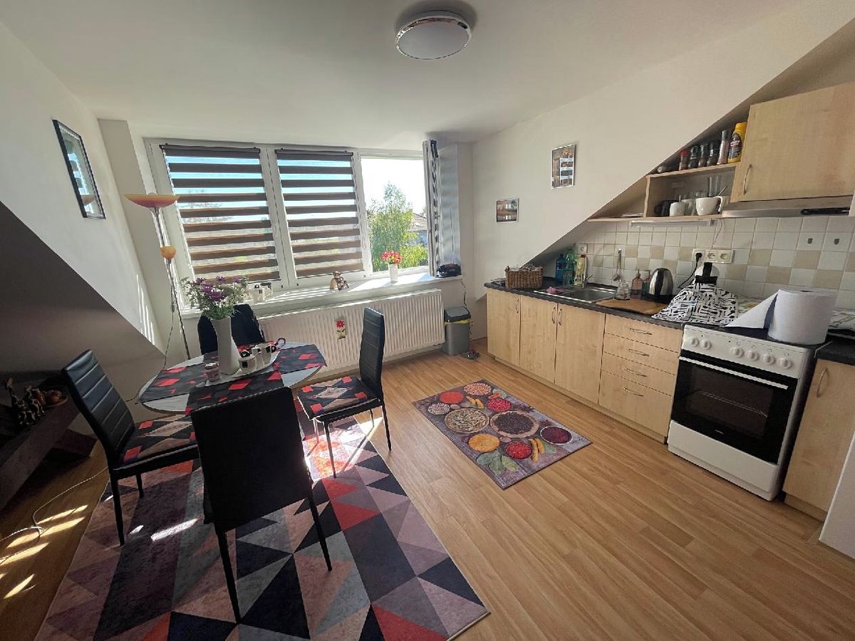 Pronájem bytu 1+kk 42 m² – fotografie 3