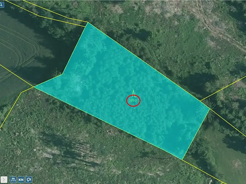 Prodej lesa 20620 m², Studená – náhled fotky 2
