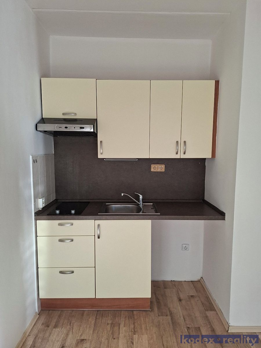 Pronájem bytu 1+kk 35 m² – fotografie 3
