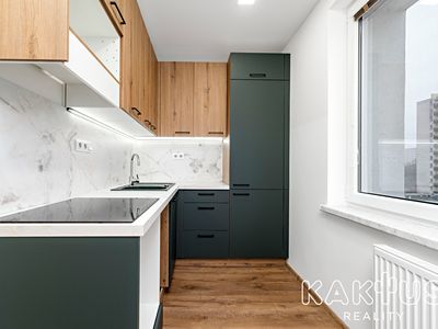 Pronájem bytu 1+1 39 m²