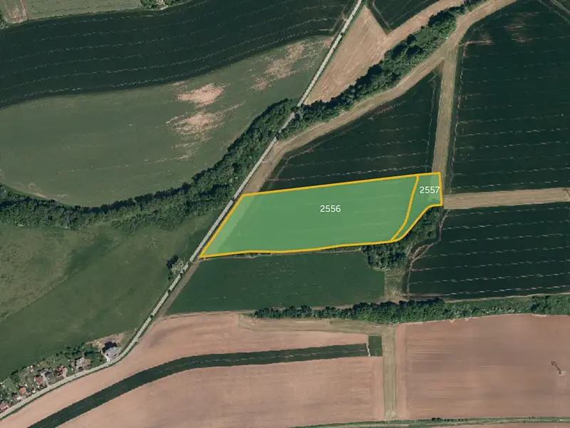 Prodej pole 15412 m², Suchdol nad Odrou – náhled fotky 1