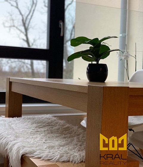 Pronájem bytu 1+kk, 41 m² (8 z 18)