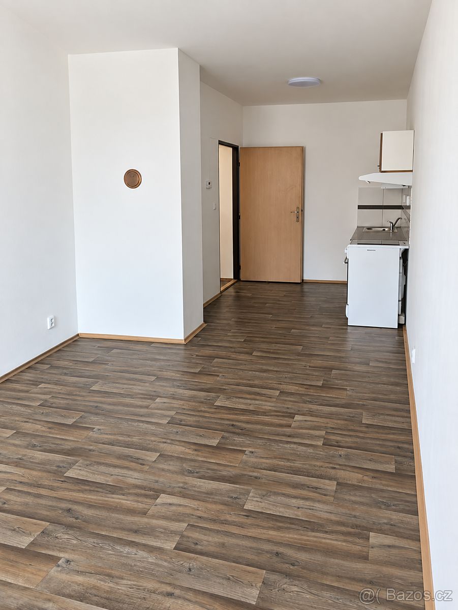 Pronájem bytu 1+kk 30 m² – fotografie 2