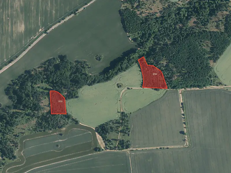Prodej lesa 23194 m², Kryry – náhled fotky 1
