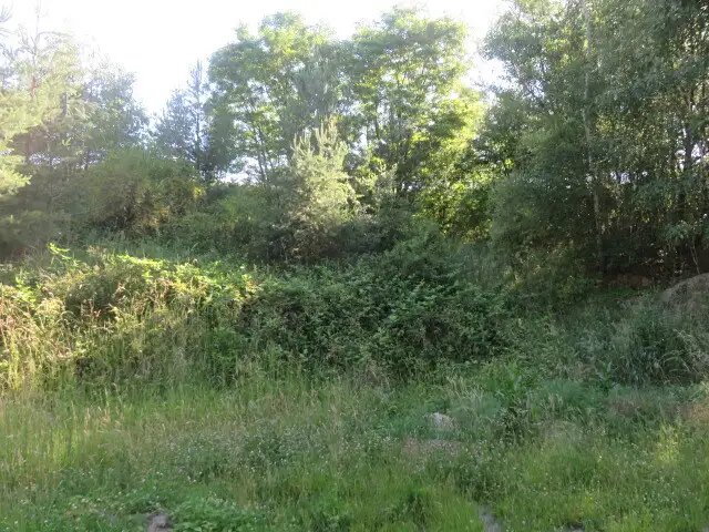 Dražba pozemku 860 m², Nové Strašecí – náhled fotky 3