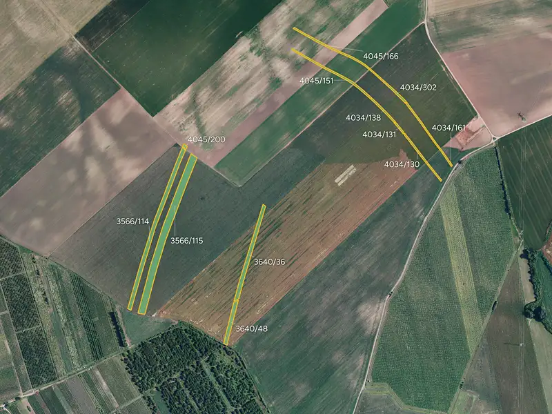 Prodej pole 31209 m², Čejkovice – náhled fotky 1