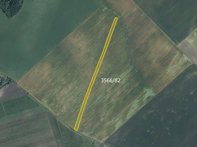 Prodej pole 18463 m², Nový Poddvorov – náhled fotky 3