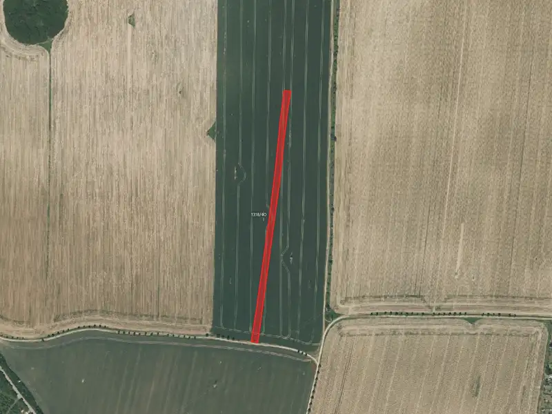 Prodej pole 7399 m², Vejprnice – náhled fotky 2