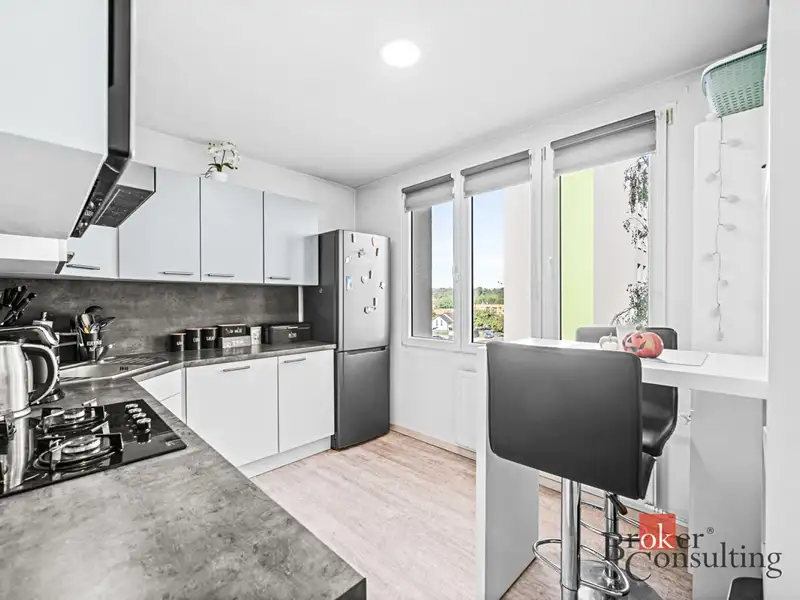 Prodej bytu 3+1 70 m², Dobřany – náhled fotky 1