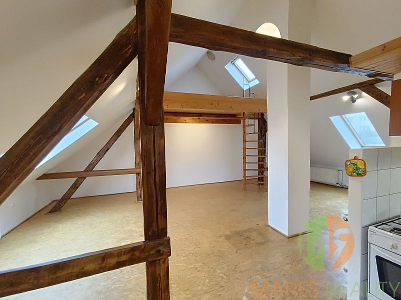 Pronájem bytu 1+kk 60 m² – fotografie 3