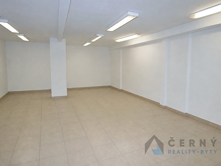Prodej komerčního prostoru, 266 m² (9 z 12)