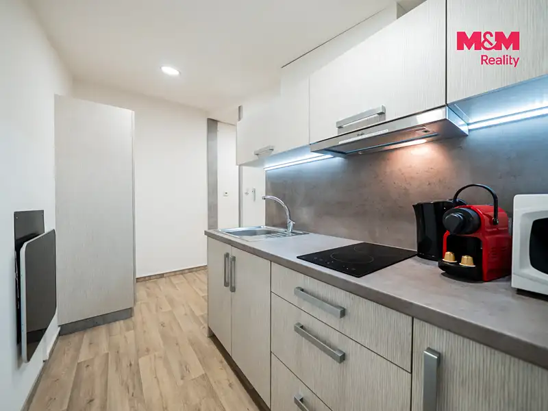Prodej bytu 1+kk 30 m², Ostružná – náhled fotky 3