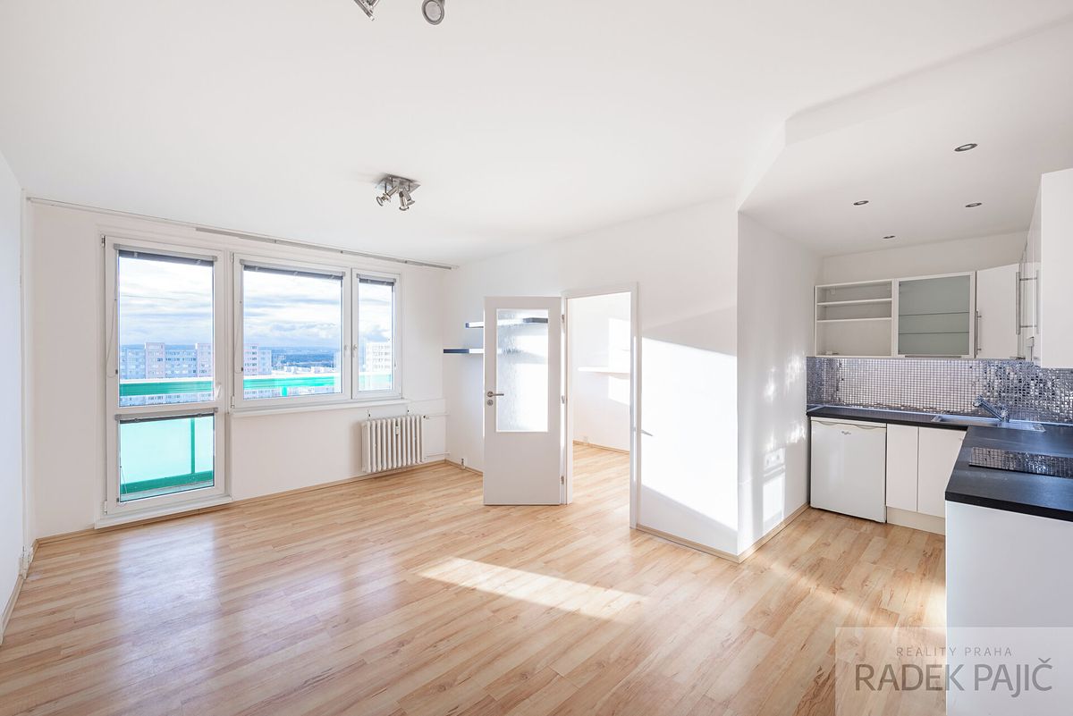 Pronájem bytu 1+1 48 m²